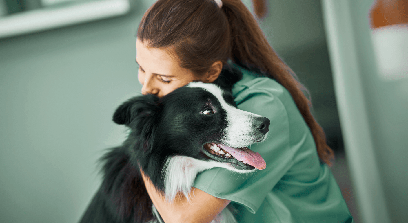 O coração da veterinária: a missão dos auxiliares veterinários.