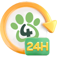Atendimento 24h